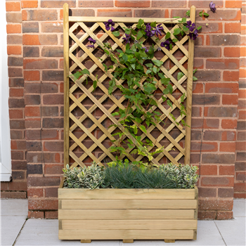 Trellis Planter