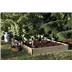 Standard Raised Bed forest