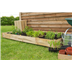 raised bed standard
