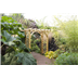 Large Ultima Pergola Arch