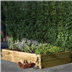 Rectangular raised beds