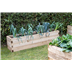 Caledonian trough Raised