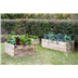 Caledonian trough Raised Forest