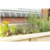 Large kitchen Garden planter 1.8m for herbs