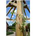 Radial Pergola by Blackwood Outdoor Living