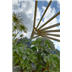 Radial Pergola for garden