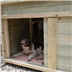 doggy kennel
