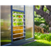 Glory Greenhouse window