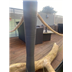 accoya bollard