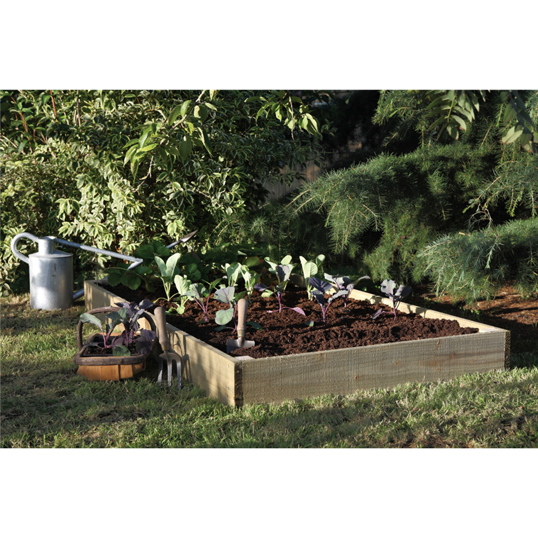 Standard Raised Bed forest