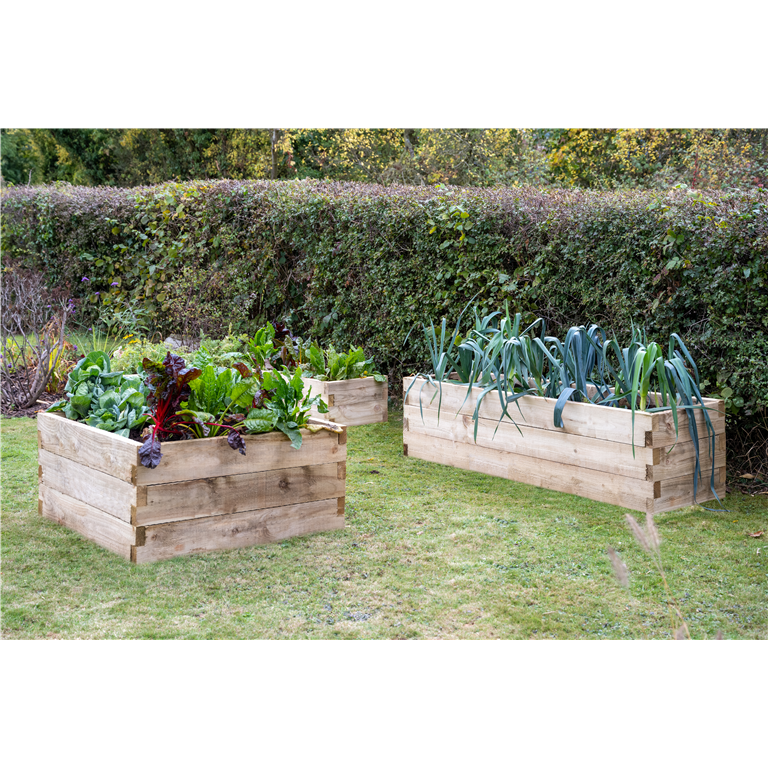 Caledonian trough Raised Forest