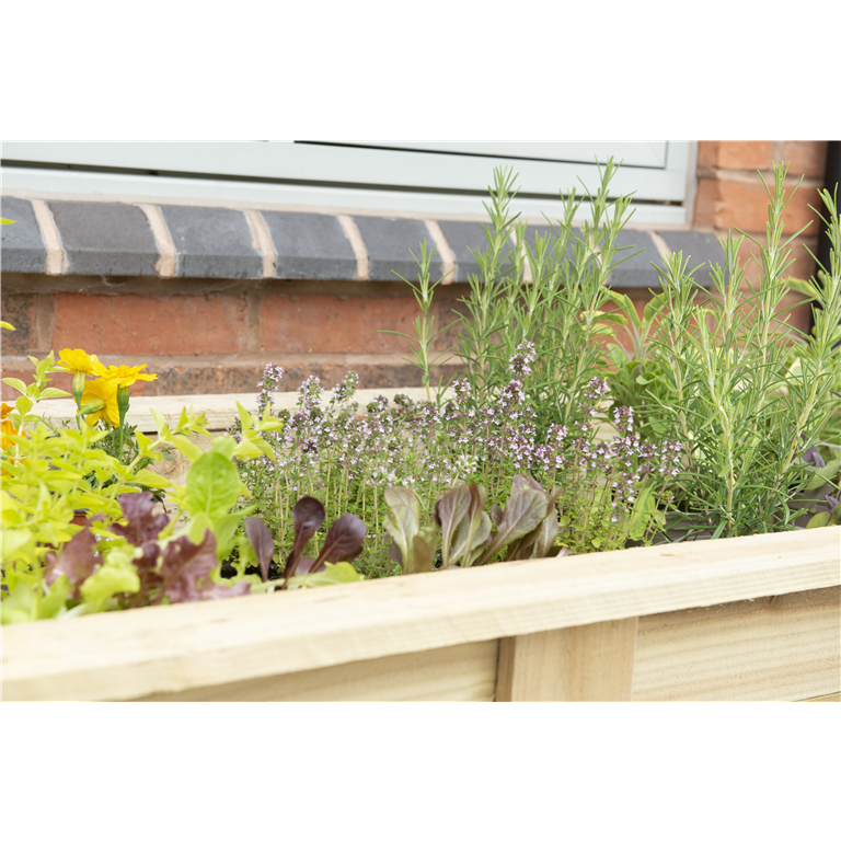 Large kitchen Garden planter 1.8m for herbs