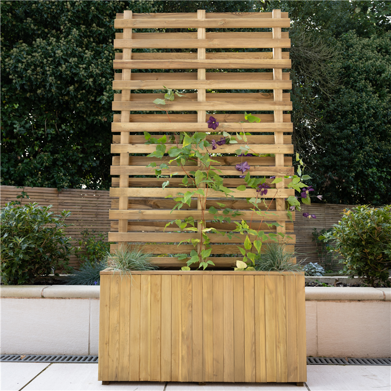 Living screen planter
