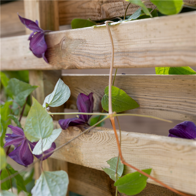 Living screen planter for vertical planting