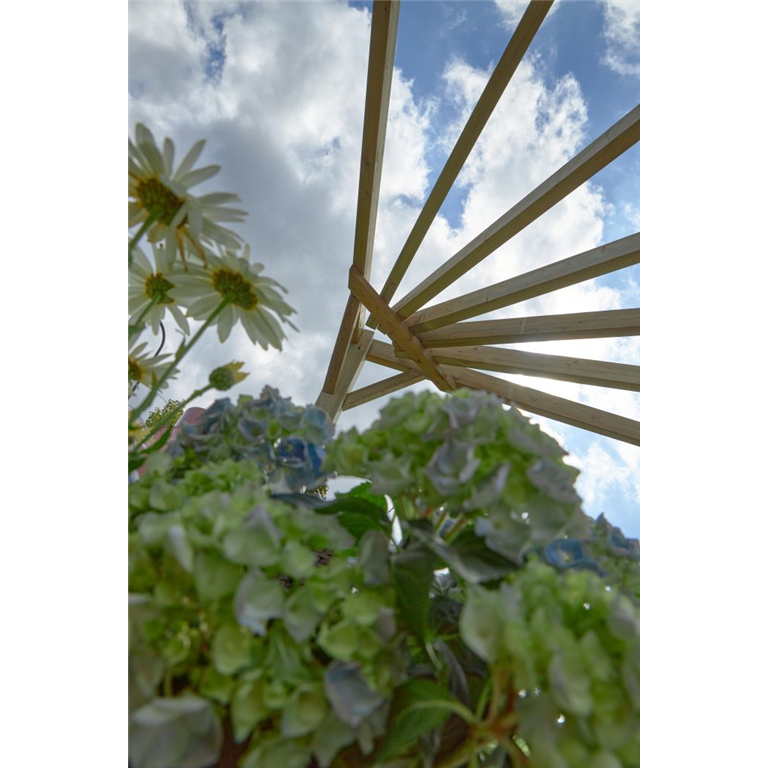 Radial Pergola for garden