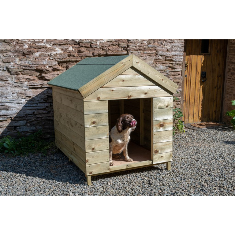 Dog House