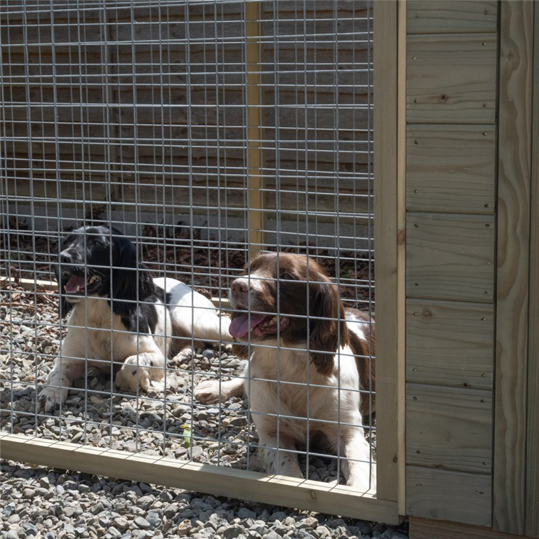  Dog kennel with run by  forest