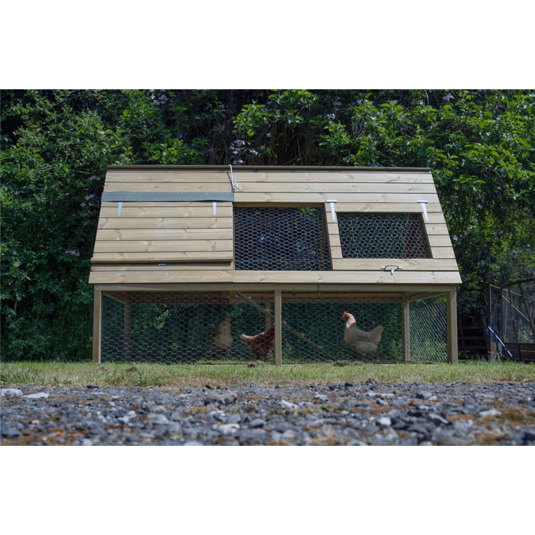 Hen house by Forest