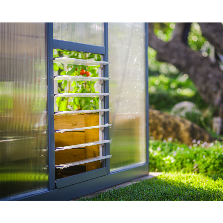 Glory Greenhouse window