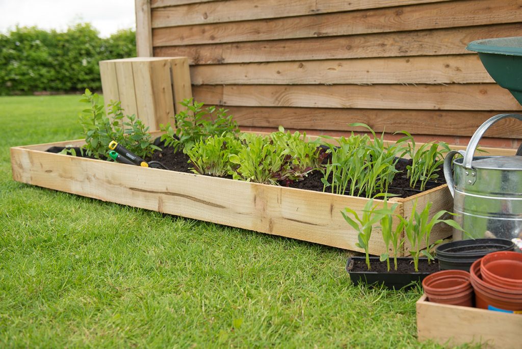 raised bed standard