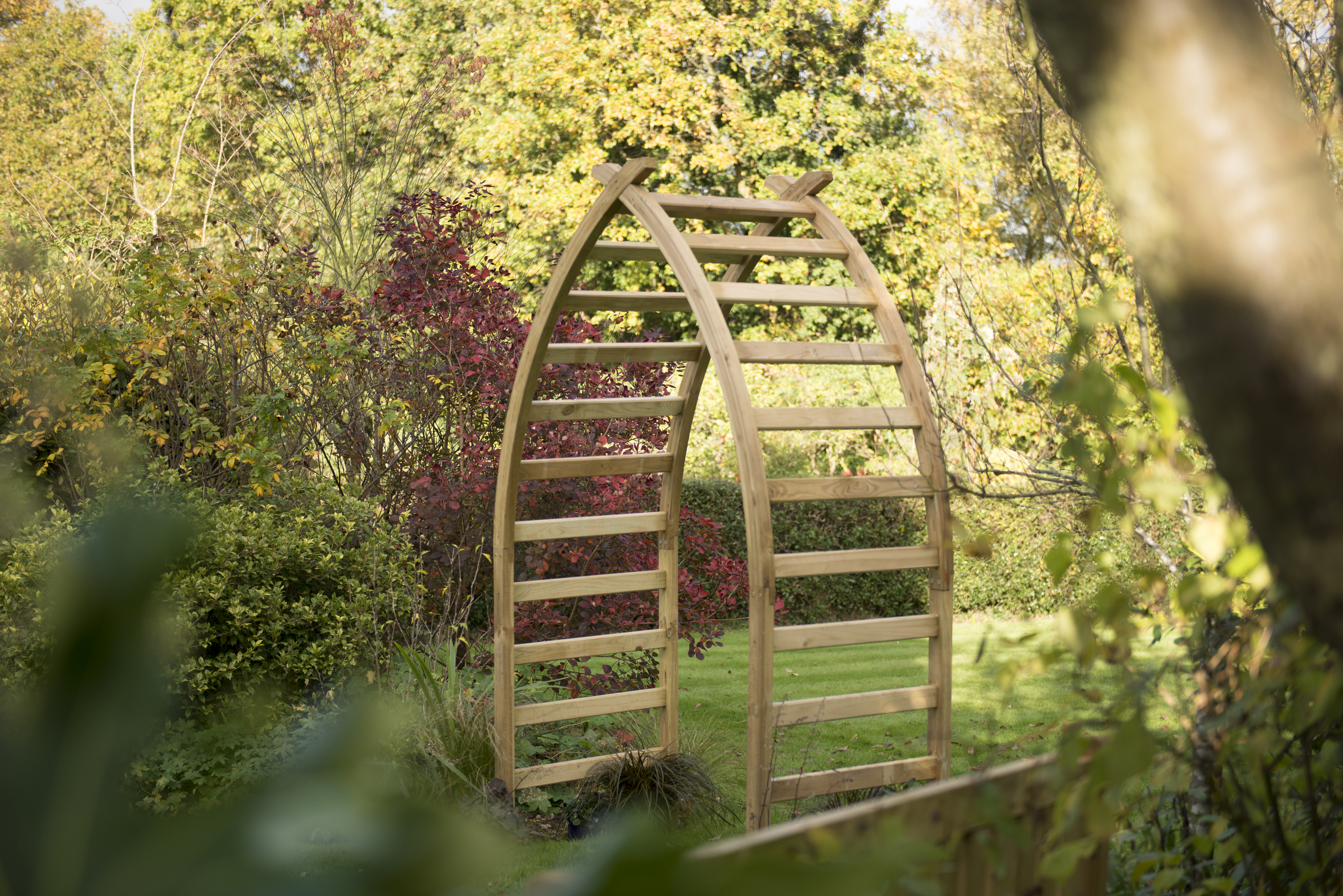 Whitby arch forest garden