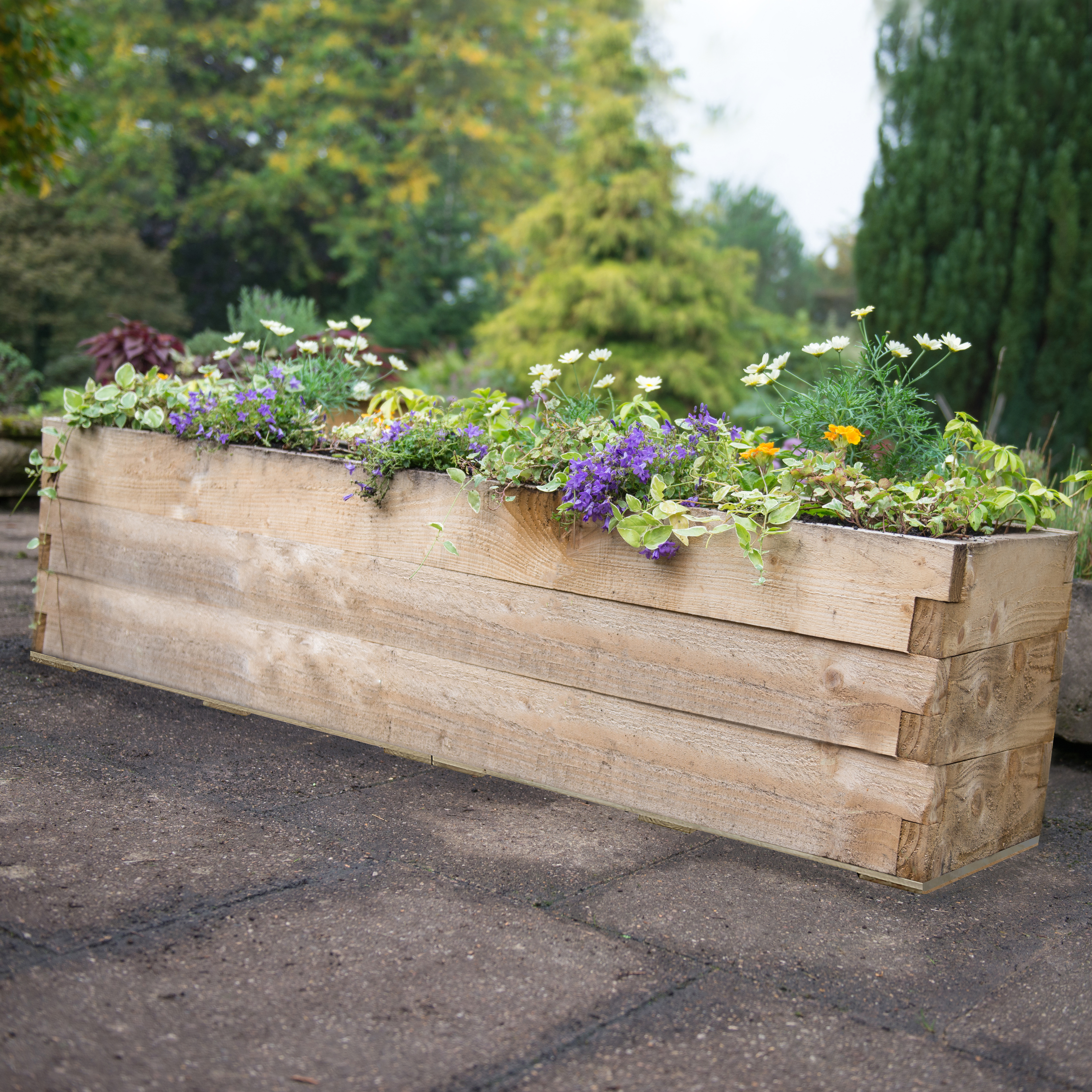 Caledonian trough Raised garden