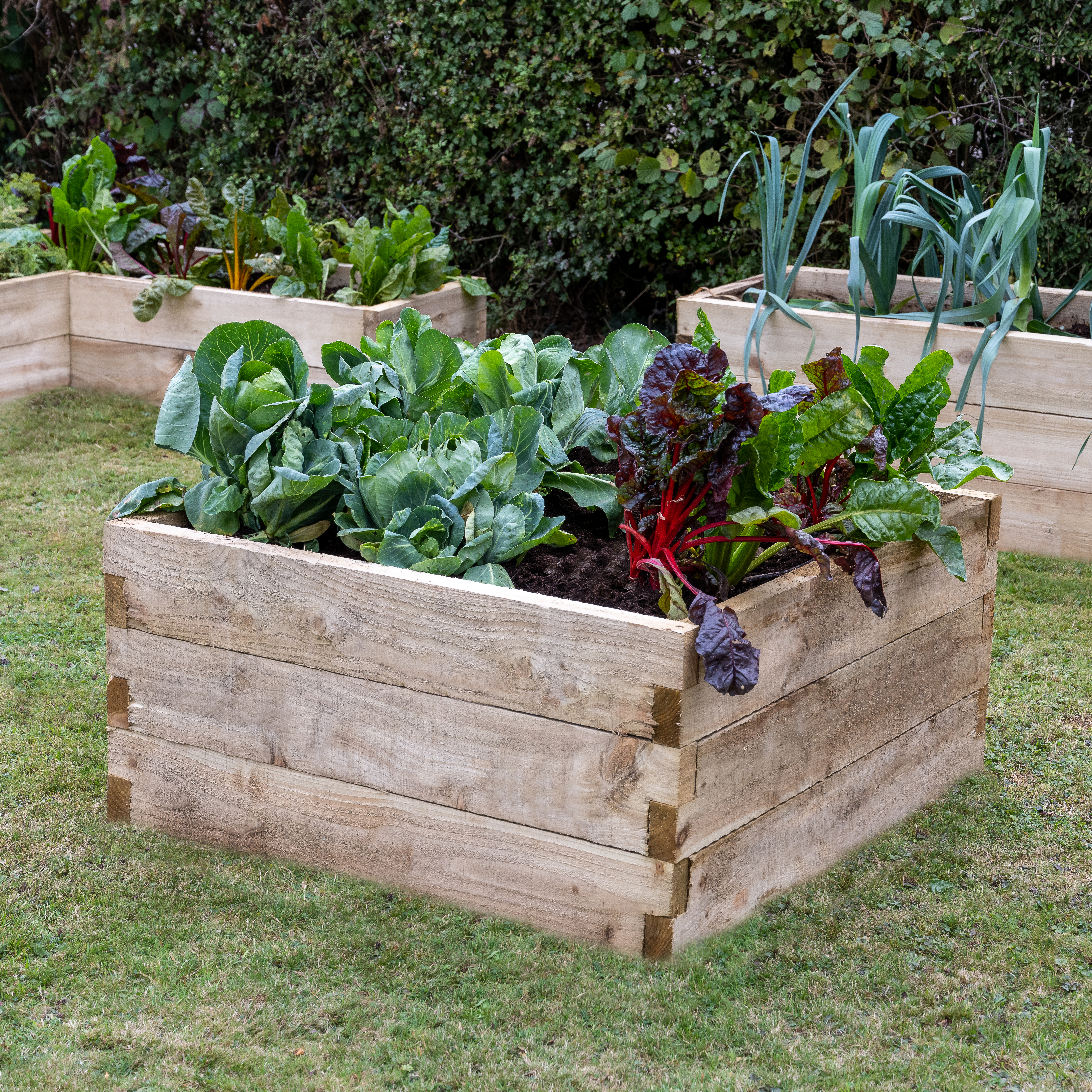 Caledonian Square Raised Bed 90 x 90