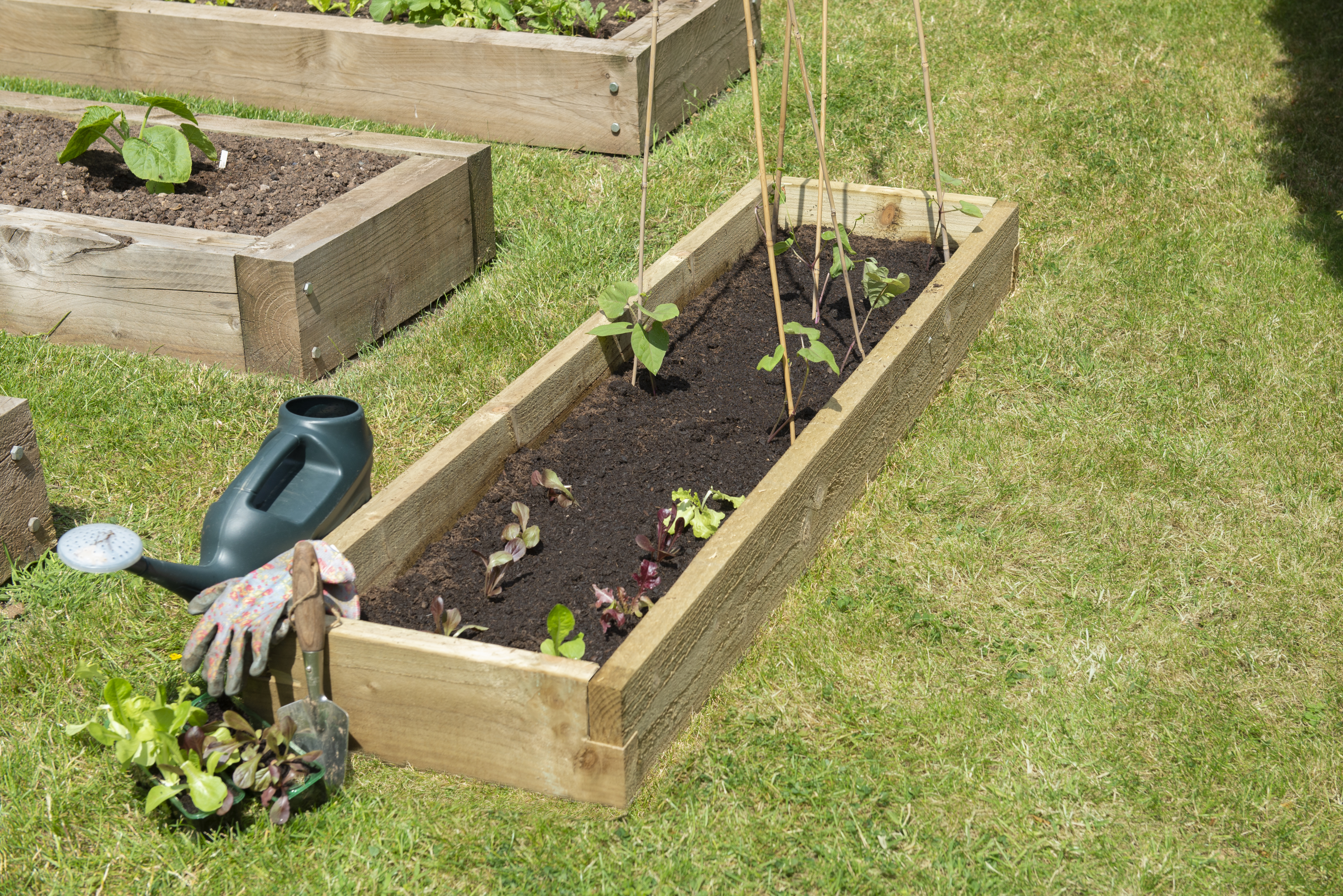 Caledonian Long Raised bed 45 x 180