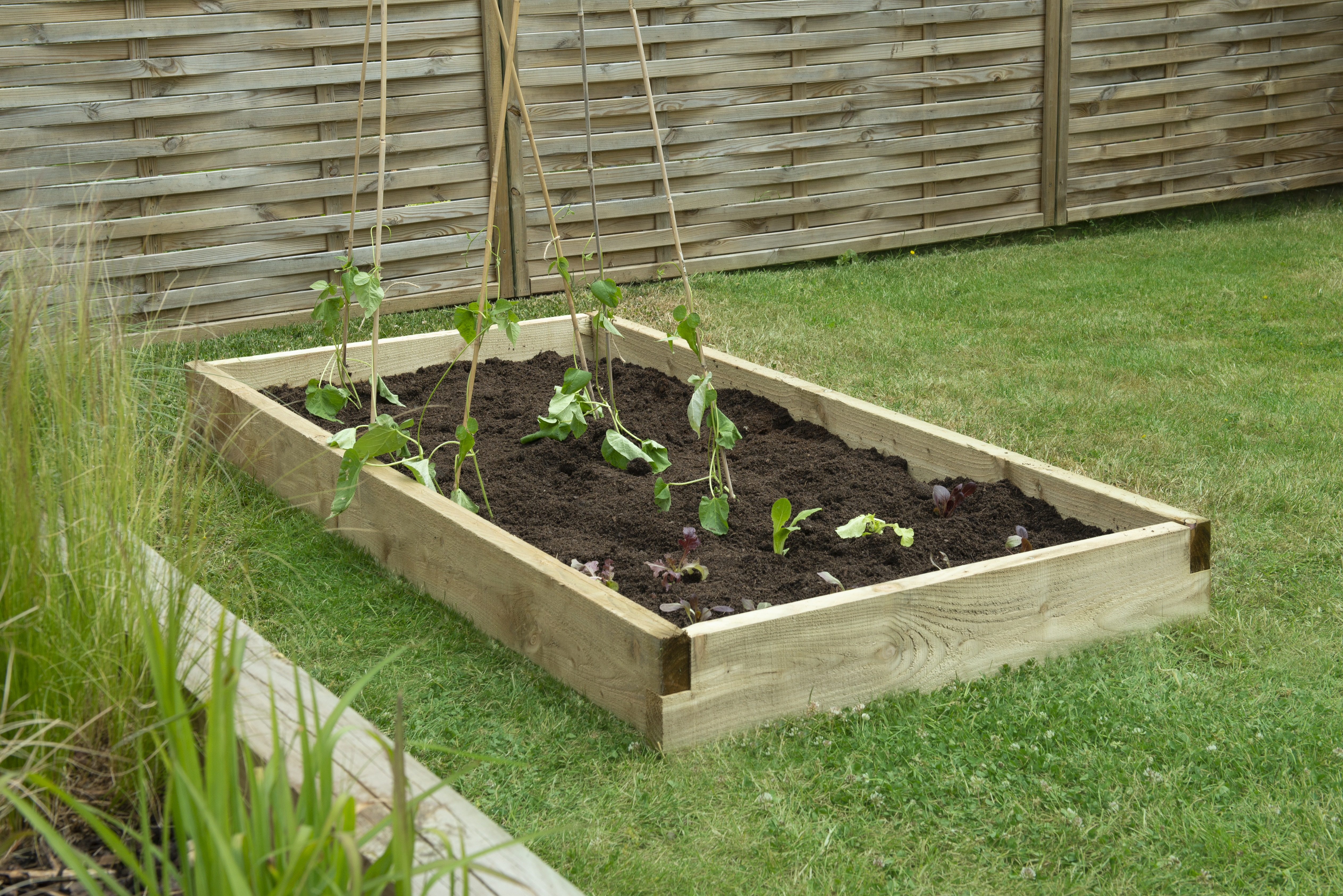 Caledonian large raised bed 90 x 180