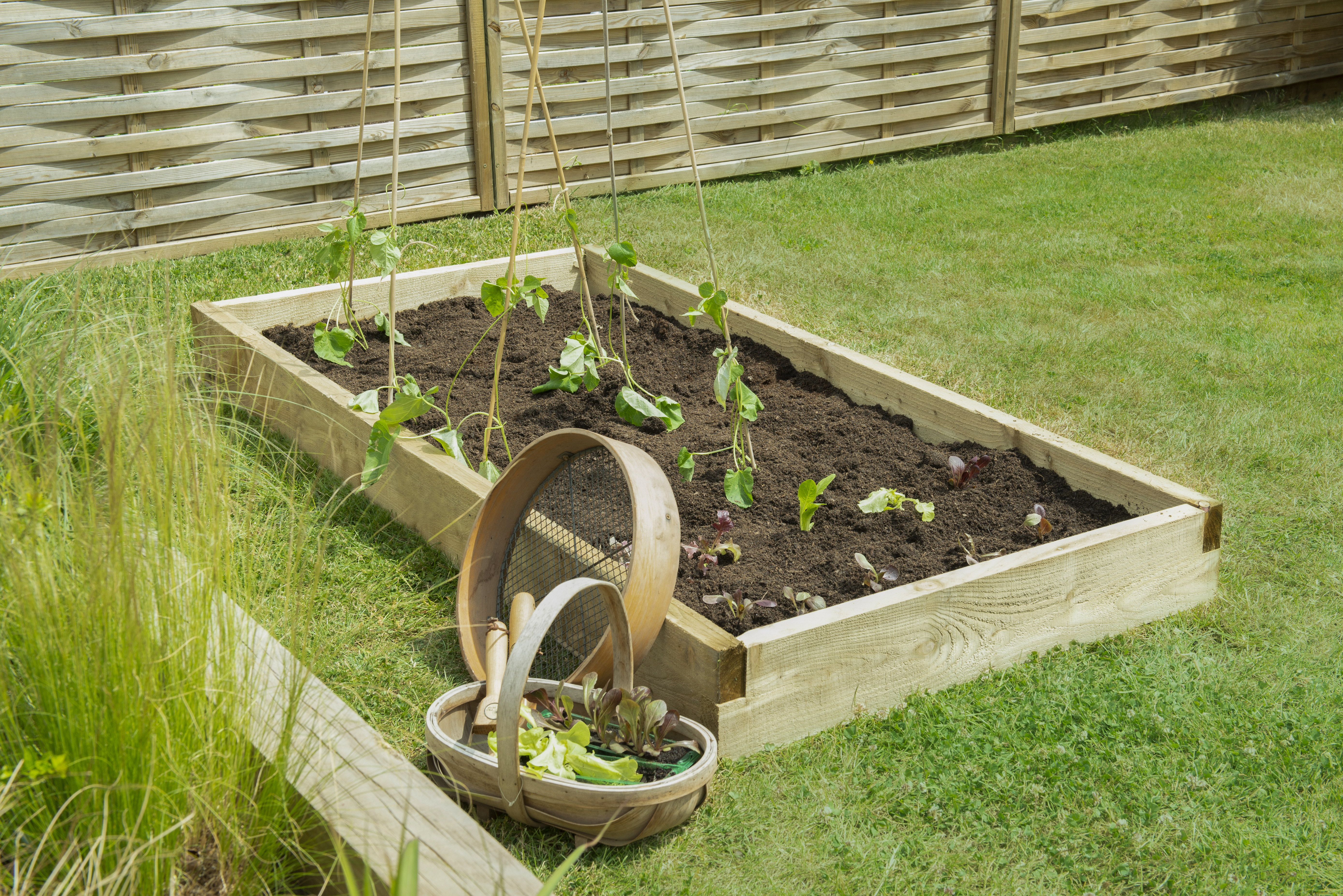 Forest Garden Caledonian large raised bed 90 x 180