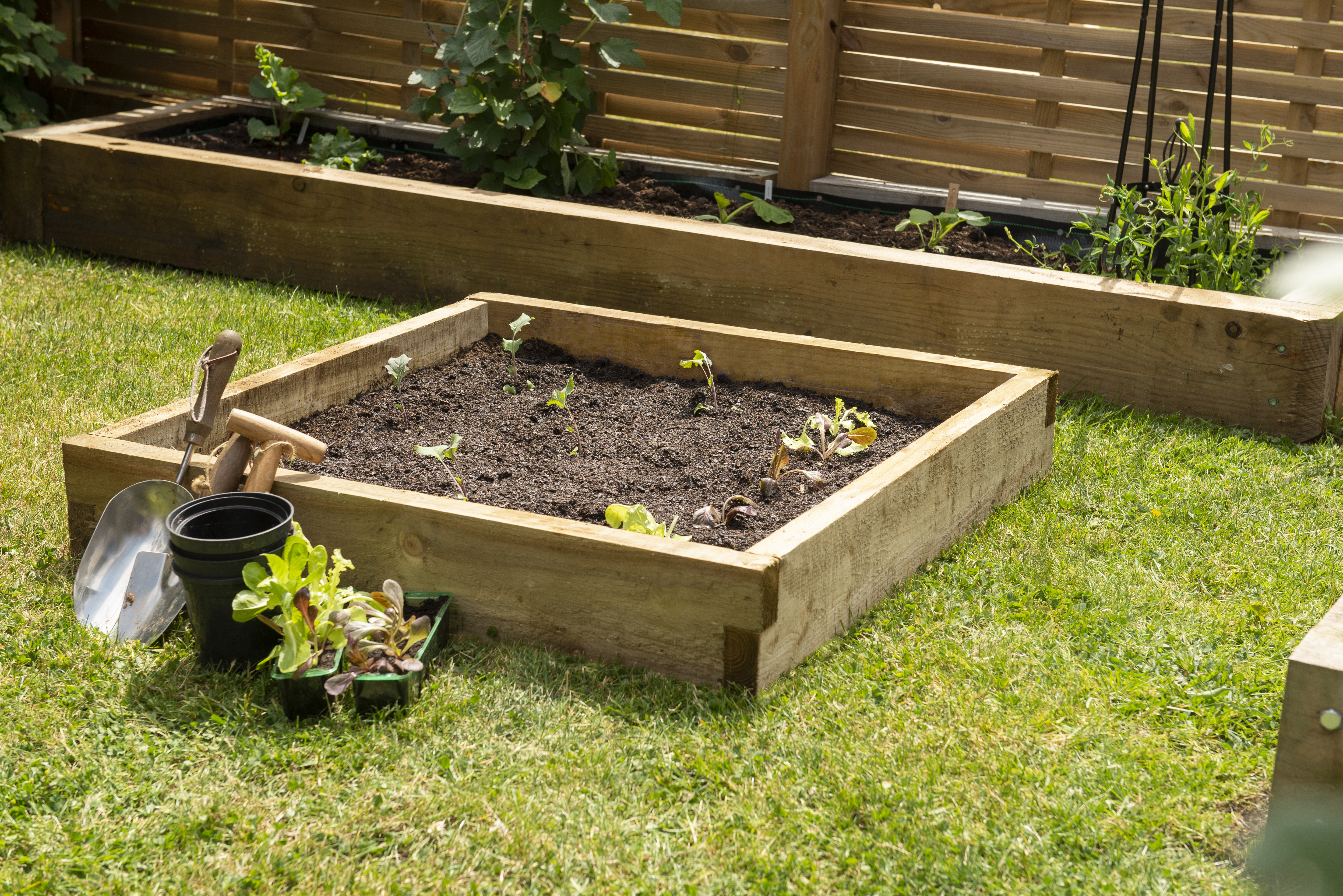 Caledonian Compact raised Bed 90 x 90