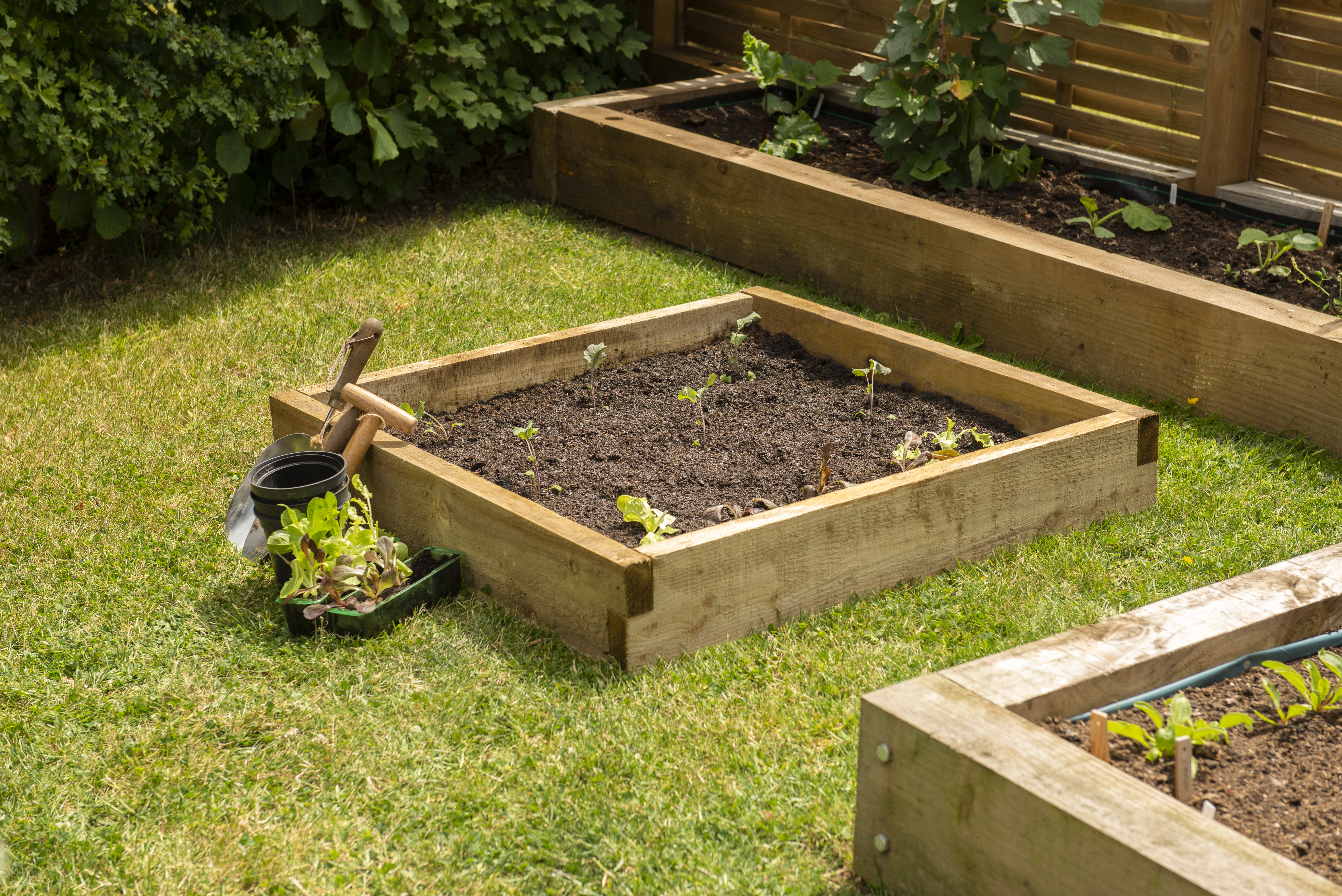  Forest Garden Caledonian Compact raised Bed 90 x 90
