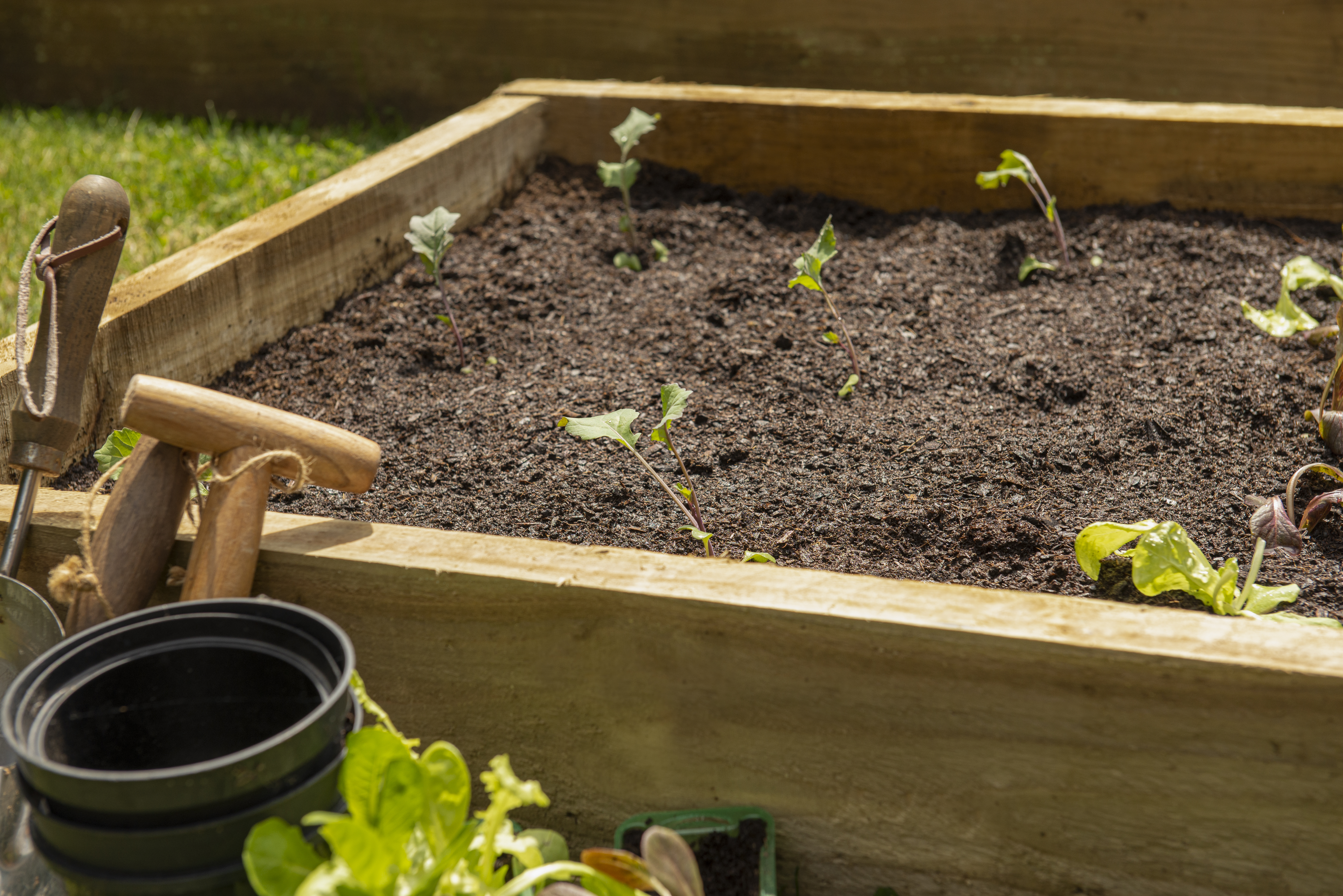 Outdoor living Caledonian Compact raised Bed 90 x 90