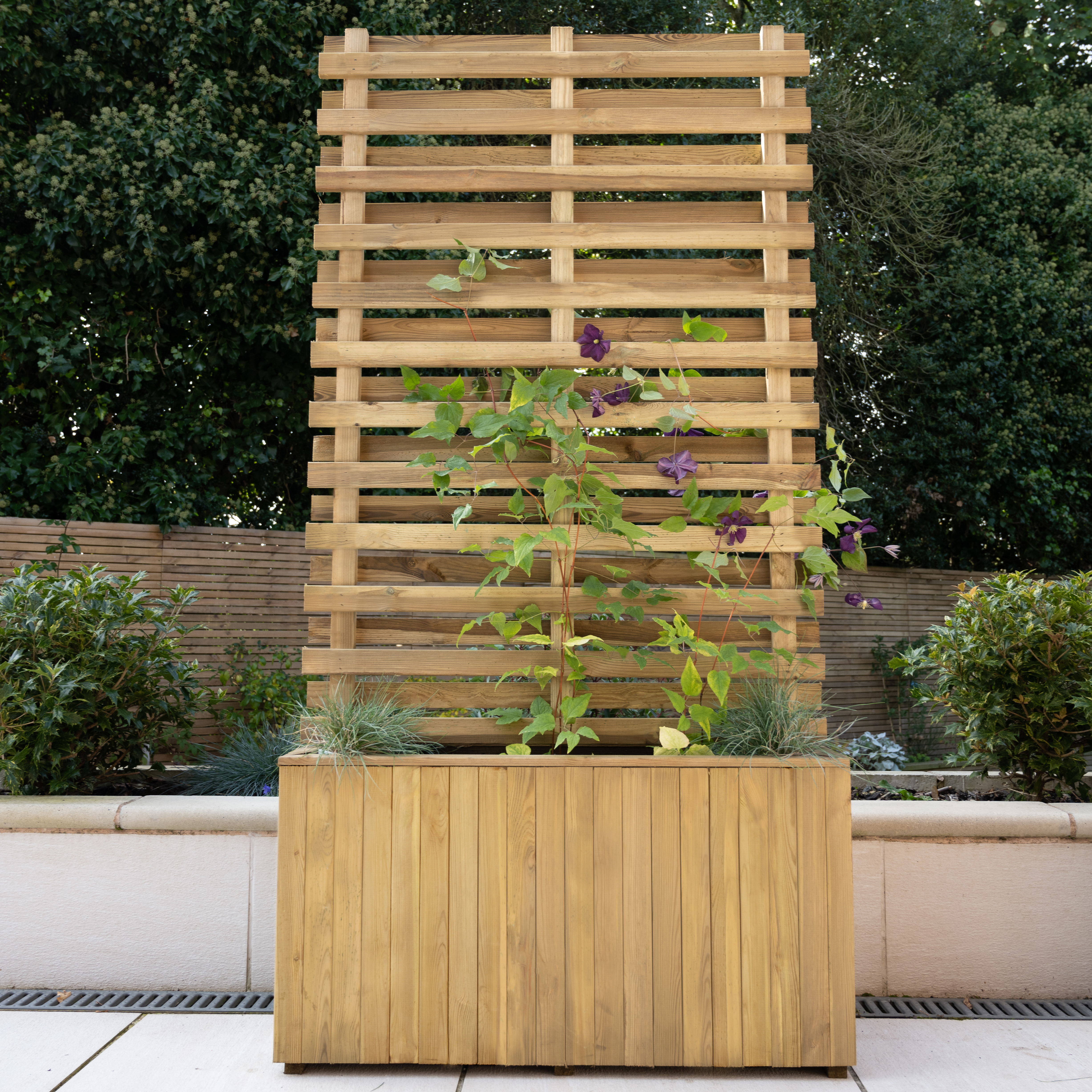 Living screen planter