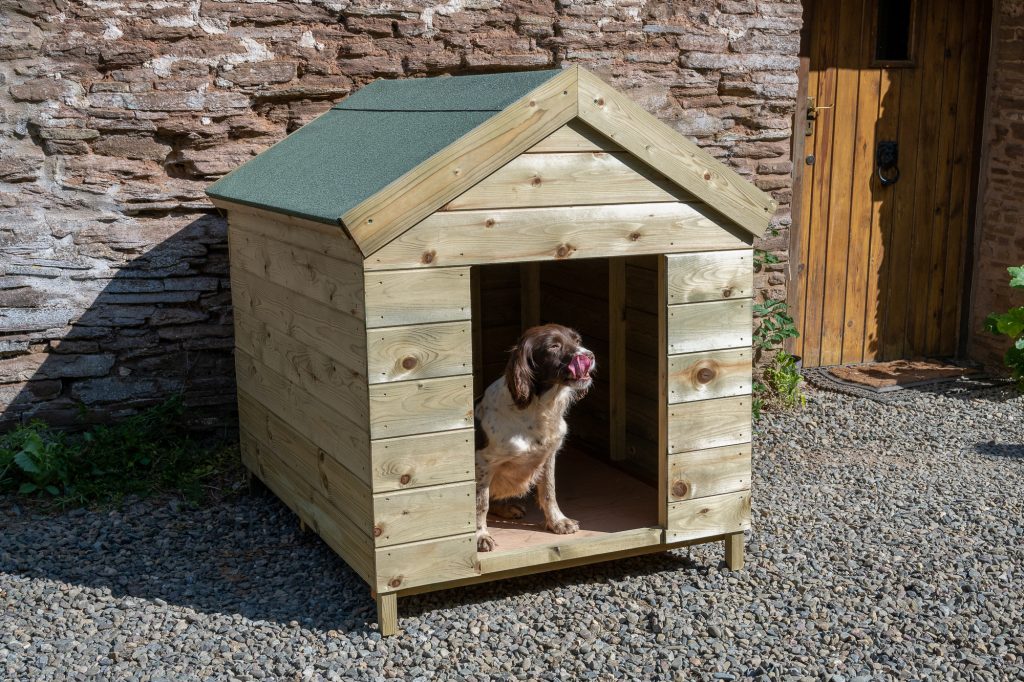 Dog House