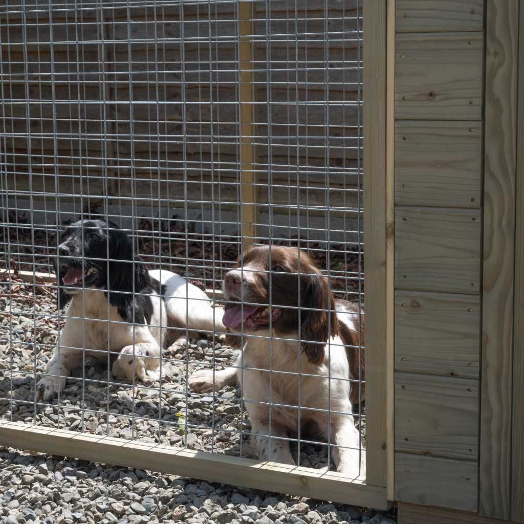  Dog kennel with run by  forest