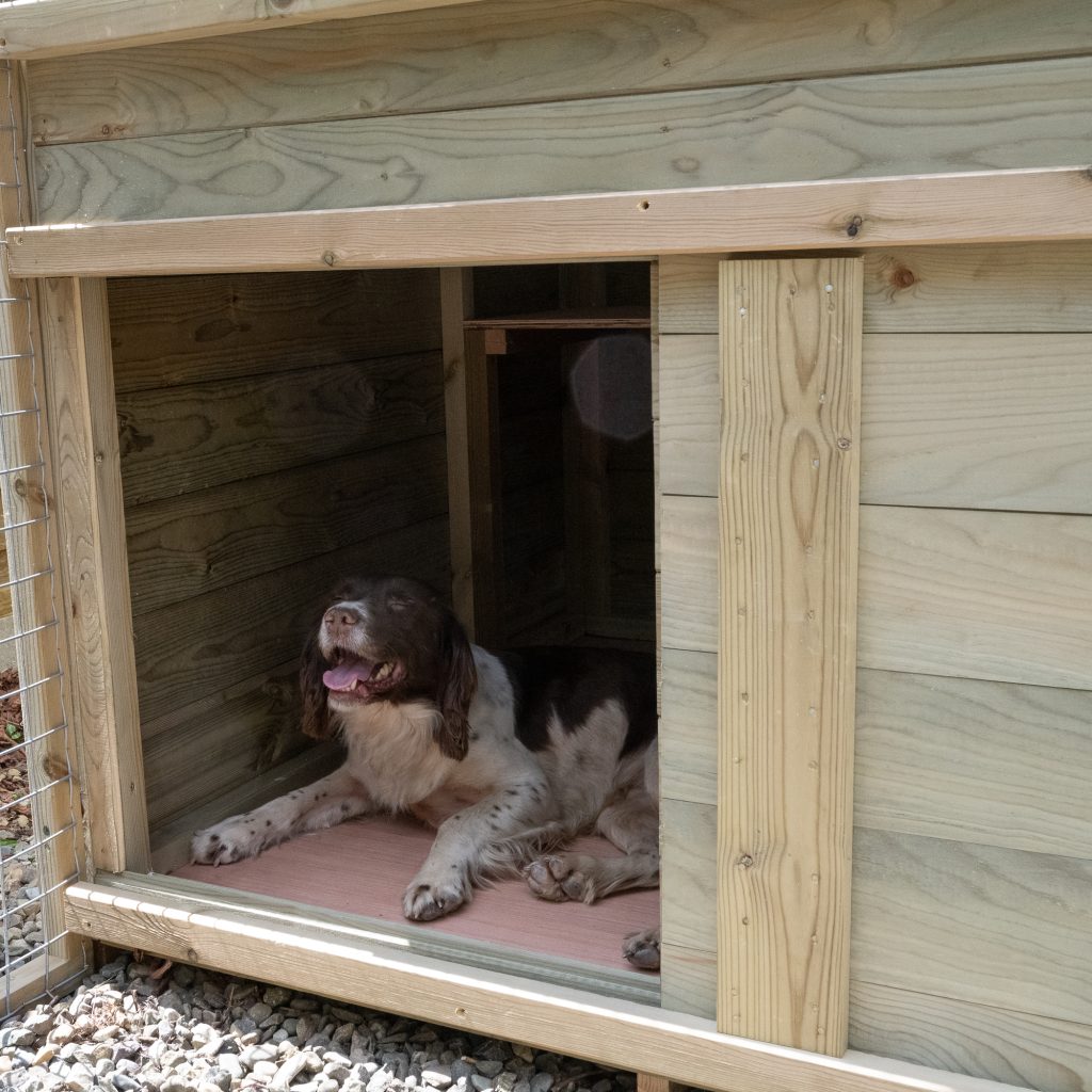 doggy kennel