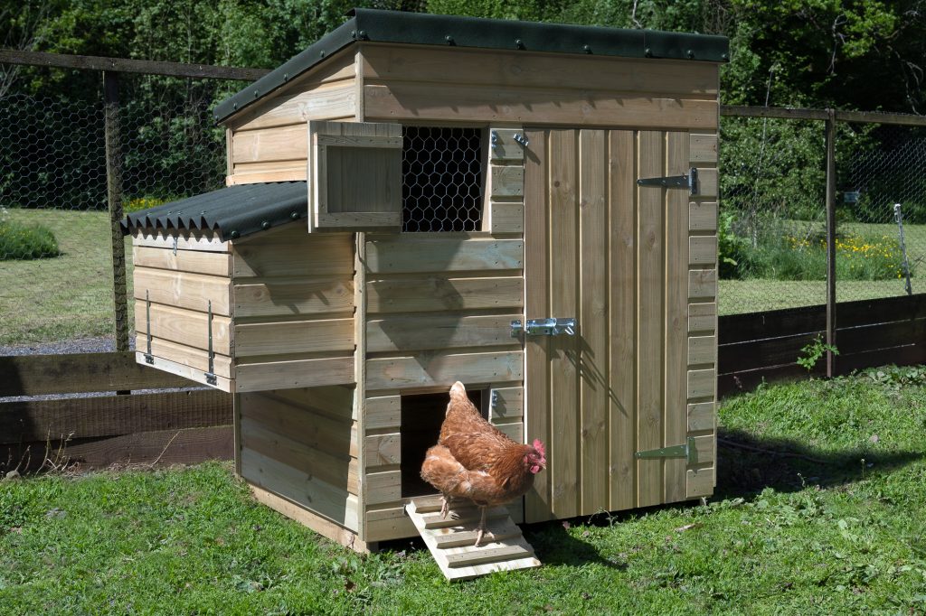 Large chicken house
