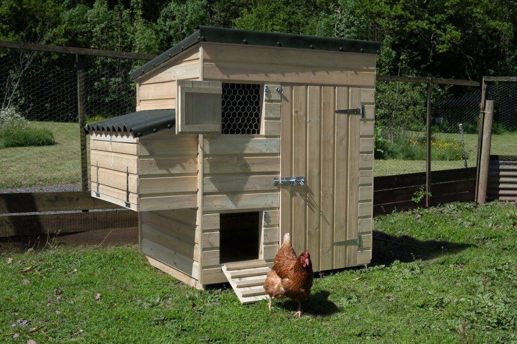 Large hen coop