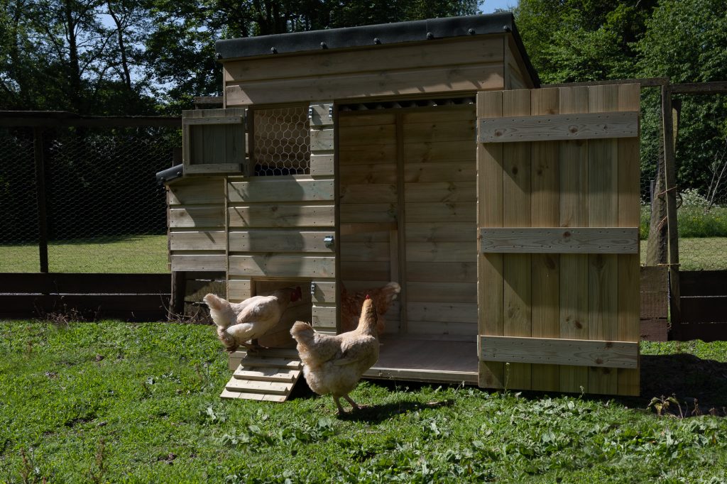 hen coop