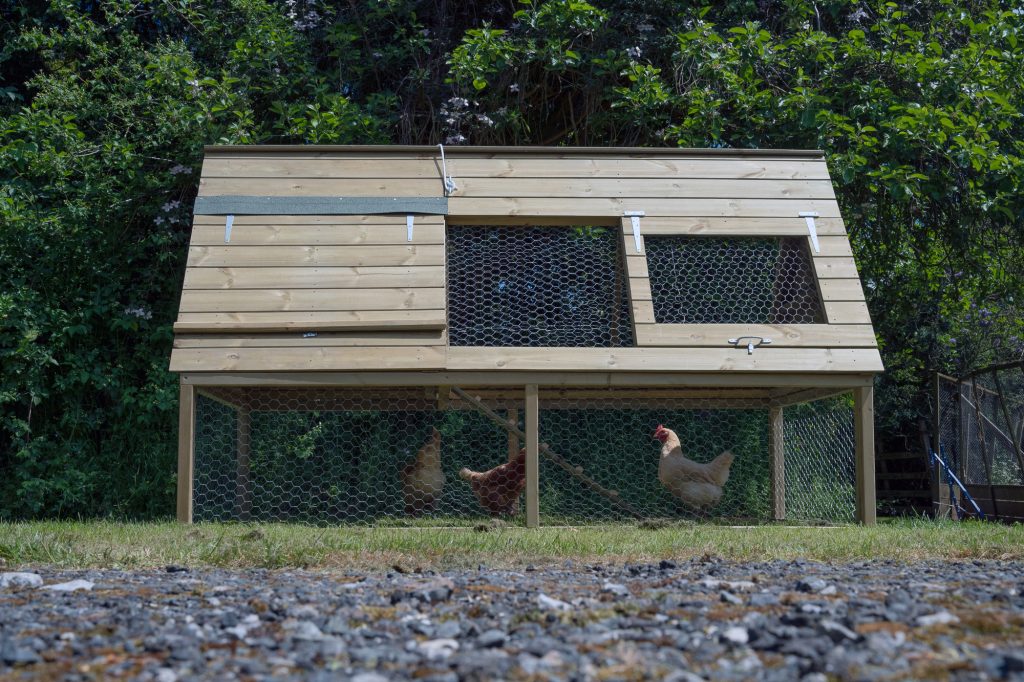 Hen house by Forest