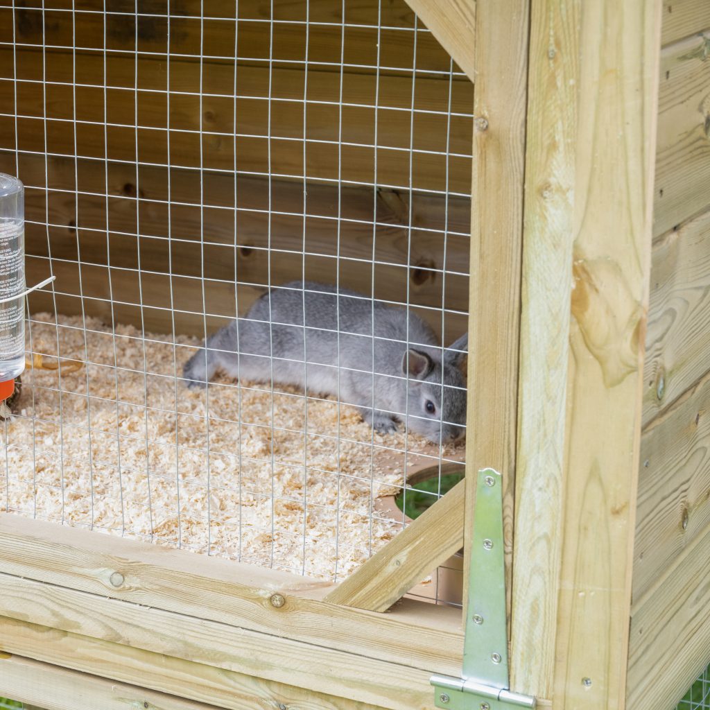 pet rabbit hutch