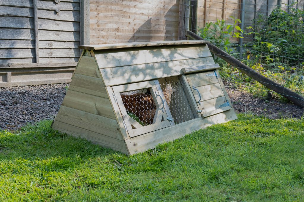 starter hen house