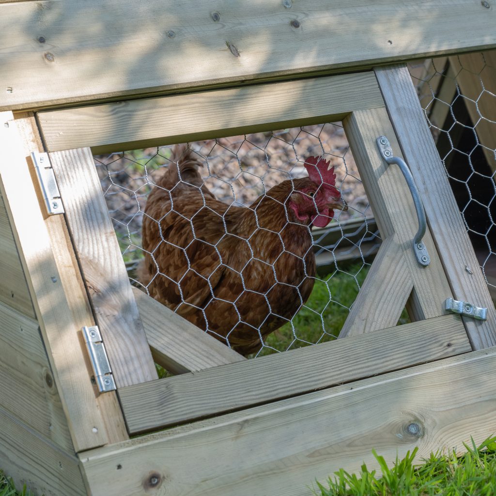 pet house for hens