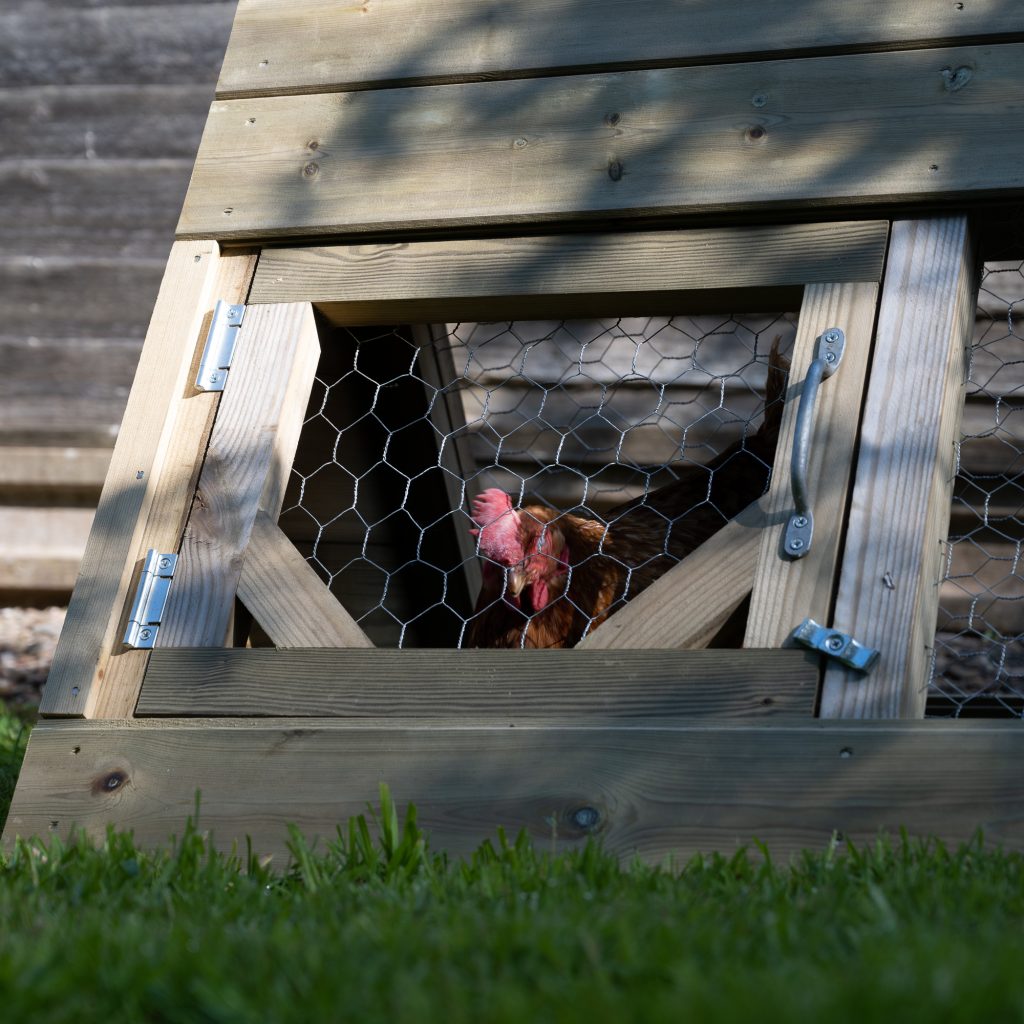 Hen house by Blackwood outdoor
